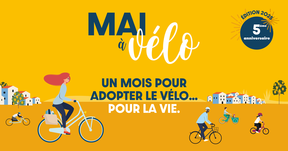 Lire la suite à propos de l’article Mai à vélo dans le Pas-de-Calais