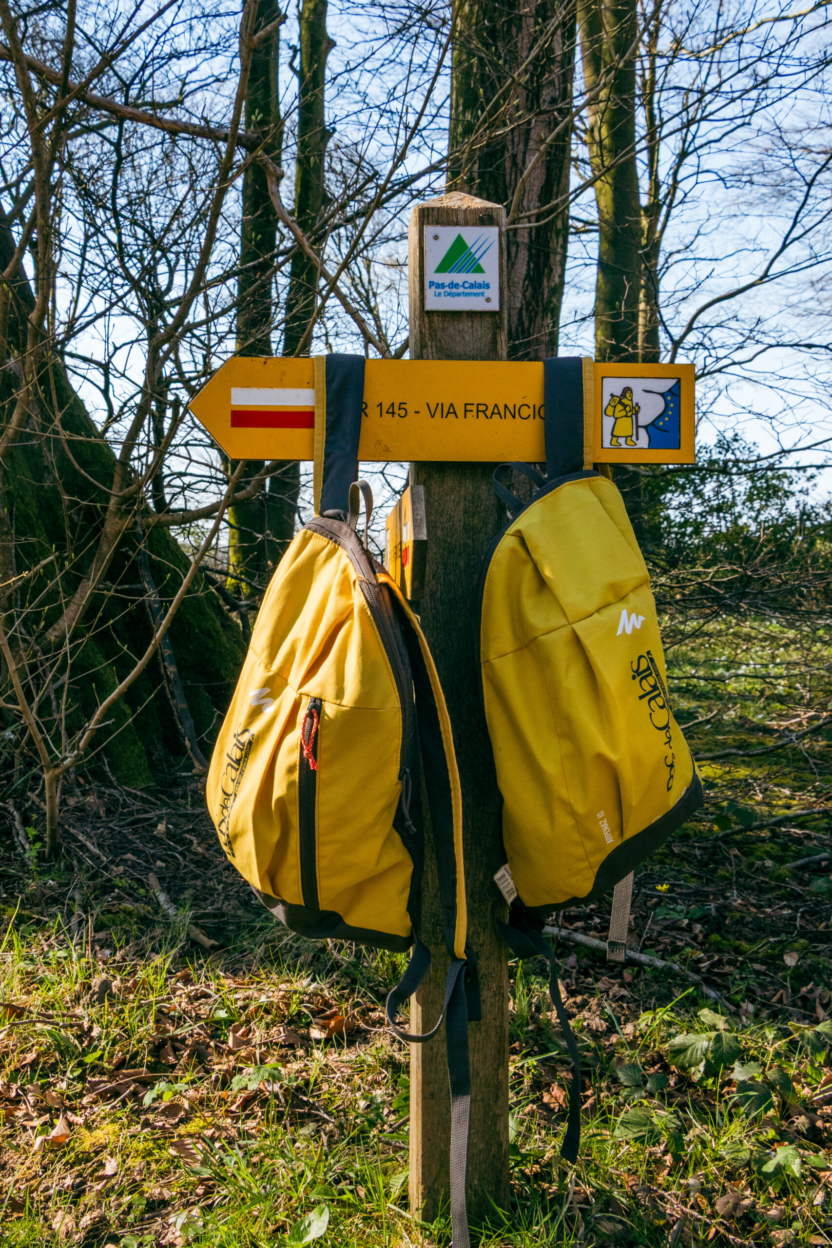 Lire la suite à propos de l’article rando Via Francigena