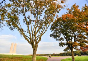 automne fin de journee tourisme orange marron arbre feuille morte saison